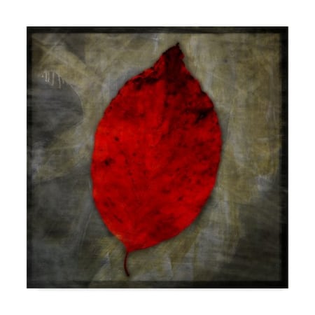 John W. Golden 'Red Dogwood' Canvas Art,18x18